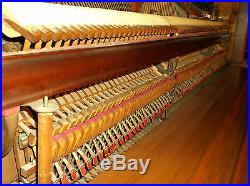 1890's Newman Brothers Victorian Overstrung Upright Grand Piano #13762