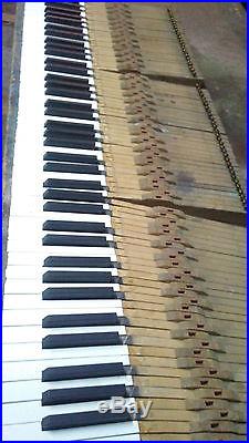 88 Authentic Piano Keys Full Set Upright For Crafts