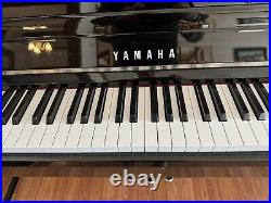Avantgrand NU1X a true digital / acoustic piano hybrid. Beautiful condition