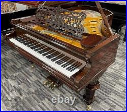 Bechstein V 6'7 Grand Piano Picarzo Pianos Rosewood ($170K retail) VIDEO