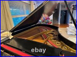 Black Satin Ebony C. Bechstein Grand Piano With Matching Bench