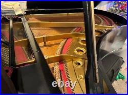 Black Satin Ebony C. Bechstein Grand Piano With Matching Bench