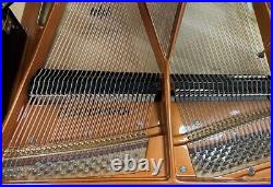 Bosendorfer 170 5'7 Grand Piano Picarzo Pianos Ebony Model ($137K retail)