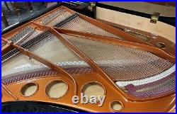 Bosendorfer 170 5'7 Grand Piano Picarzo Pianos Ebony Model ($137K retail)