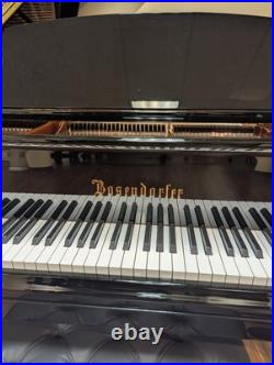 Bosendorfer Model 190 Grand Piano 6'3'' COMPLETELY RESTORED Bosendorfer Model 190 Grand Piano 6'3'' COMPLETELY RESTORED