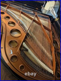 Bosendorfer Model 190 Grand Piano 6'3'' COMPLETELY RESTORED Bosendorfer Model 190 Grand Piano 6'3'' COMPLETELY RESTORED