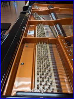 Bosendorfer Model 190 Grand Piano 6'3'' COMPLETELY RESTORED Bosendorfer Model 190 Grand Piano 6'3'' COMPLETELY RESTORED
