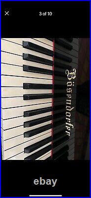 Bosendorfer grand piano 220 fully restored