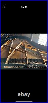 Bosendorfer grand piano 220 fully restored