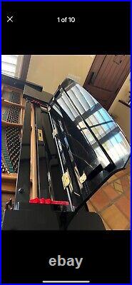 Bosendorfer grand piano 220 fully restored