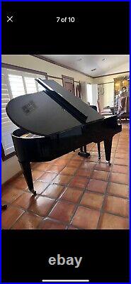 Bosendorfer grand piano 220 fully restored