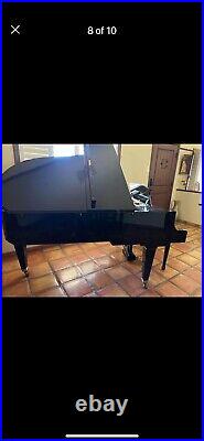 Bosendorfer grand piano 220 fully restored