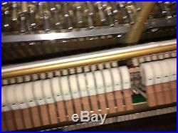 Boston Upright Piano, 88 keys UP-126E/Model 138517