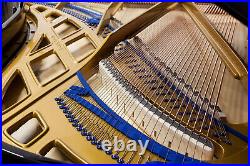 Completely restored BLUTHNER Model 230 Semi Concert Grand Piano Completely restored BLUTHNER Model 230 Semi Concert Grand Piano
