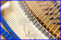 Completely restored BLUTHNER Model 230 Semi Concert Grand Piano Completely restored BLUTHNER Model 230 Semi Concert Grand Piano