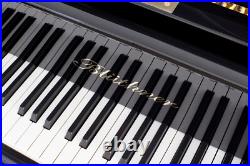 Completely restored BLUTHNER Model 230 Semi Concert Grand Piano Completely restored BLUTHNER Model 230 Semi Concert Grand Piano