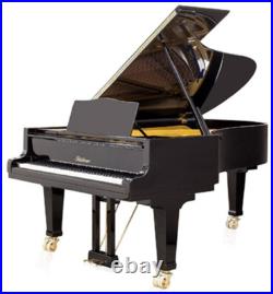 Completely restored BLUTHNER Model 230 Semi Concert Grand Piano Completely restored BLUTHNER Model 230 Semi Concert Grand Piano
