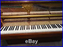 Danemann Overstrung Piano Including Local Delivery
