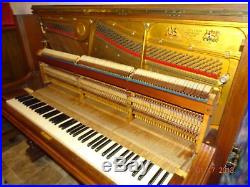 F. Dorner & Sohn Upright Piano, German Engineered, Gorgeous Art Case