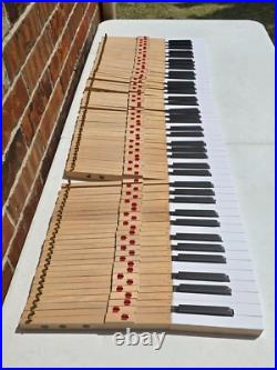 Full Set of 88 Vintage Piano Keys / Replacement Keys 16 Made in Japan Yamaha Full Set of 88 Vintage Piano Keys / Replacement Keys 16 Made in Japan Yamaha