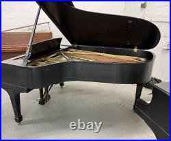 Fully Rebuilt Beautiful Steinway And Sons Model B Piano