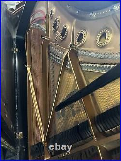 Fully Rebuilt Beautiful Steinway And Sons Model B Piano