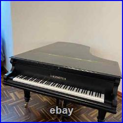 Grand piano C. BECHSTEIN MODEL IV $120000 NEW