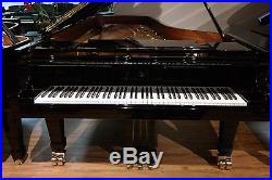 Hamburg Steinway Full Concert Grand Piano