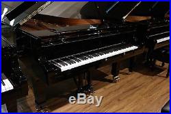 Hamburg Steinway Full Concert Grand Piano