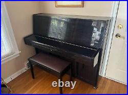 Hastings Upright 48? Professional Upright Ebony Polish