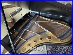 K Kawai KG 3C Black Ebony Finish 6'1 Three Pedal Grand Piano with Stool & Light