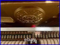 Kawai CE-7 Upright Piano 42 Polished Ivory/White