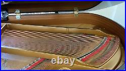 Kohler and Campbell Grand Piano 6'1 Black Ebony 2000