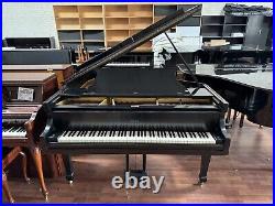 Krakauer Baby Grand