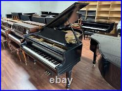 Krakauer Baby Grand