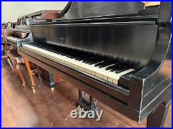 Krakauer Baby Grand