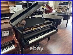 Krakauer Baby Grand