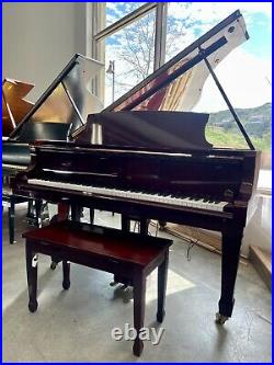 Pramberger JP185 Grand Piano 6'1 Polished Bubinga
