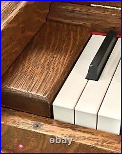 Ragland Custom Acoustic/Digital Piano Conversion Late 1890's Emerson Upright