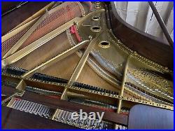 Rare Rebuilt By Steinway Hall Beautiful Rosewood Steinway And Sons Model C Piano