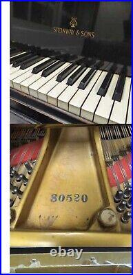 Rare Victorian Art Case Steinway And Sons Model D Concert Grand Piano