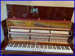 Rieger-Kloss 122 1990s Demichippendale Piano