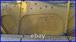 SEE VIDEO Bluthner Overstrung Piano Rosewood Case Inc. Local Delivery