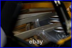 Sauter Vivace Grand Player Piano -A GREAT 100% GERMAN MADE PIANO