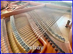Schimmel Grand Piano 5'10 Polished Ebony built in 1993 Schimmel Grand Piano 5'10 Polished Ebony built in 1993