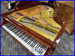 Schimmel SP182 6'0 Grand Piano Picarzo Pianos Exotic Bubinga Model (2004) VIDEO Schimmel SP182 6'0 Grand Piano Picarzo Pianos Exotic Bubinga Model (2004) VIDEO