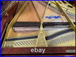 Schimmel SP182 6'0 Grand Piano Picarzo Pianos Exotic Bubinga Model (2004) VIDEO Schimmel SP182 6'0 Grand Piano Picarzo Pianos Exotic Bubinga Model (2004) VIDEO