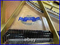 Schimmel SP182 6'0 Grand Piano Picarzo Pianos Exotic Bubinga Model (2004) VIDEO Schimmel SP182 6'0 Grand Piano Picarzo Pianos Exotic Bubinga Model (2004) VIDEO