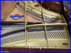 Schimmel SP182 6'0 Grand Piano Picarzo Pianos Exotic Bubinga Model (2004) VIDEO Schimmel SP182 6'0 Grand Piano Picarzo Pianos Exotic Bubinga Model (2004) VIDEO