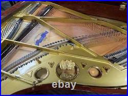 Schimmel SP182 6'0 Grand Piano Picarzo Pianos Exotic Bubinga Model (2004) VIDEO Schimmel SP182 6'0 Grand Piano Picarzo Pianos Exotic Bubinga Model (2004) VIDEO